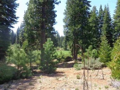 Nice golf course lot at Bailey Creek. Gentle downslope with a on Bailey Creek Golf Course in California - for sale on GolfHomes.com, golf home, golf lot