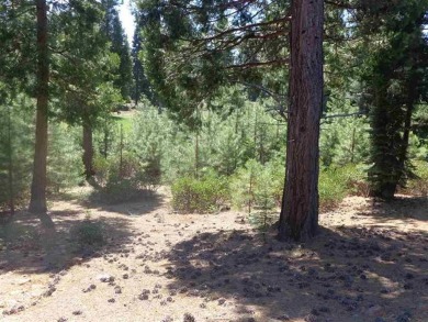 Nice golf course lot at Bailey Creek. Gentle downslope with a on Bailey Creek Golf Course in California - for sale on GolfHomes.com, golf home, golf lot