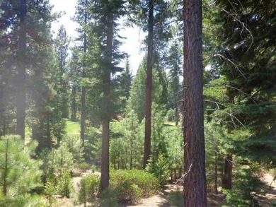 Nice golf course lot at Bailey Creek. Gentle downslope with a on Bailey Creek Golf Course in California - for sale on GolfHomes.com, golf home, golf lot