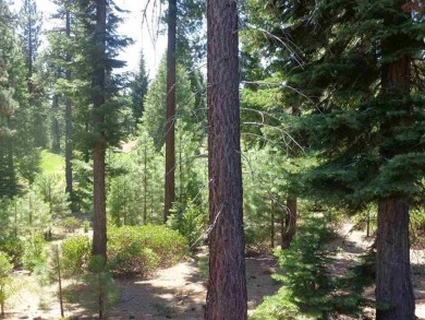 Nice golf course lot at Bailey Creek. Gentle downslope with a on Bailey Creek Golf Course in California - for sale on GolfHomes.com, golf home, golf lot