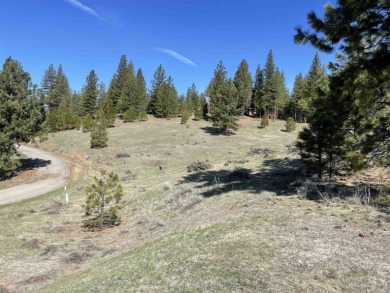 Build the most cozy cabin on this sun filled piece of land on Grizzly Ranch Golf Club in California - for sale on GolfHomes.com, golf home, golf lot