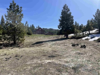 Build the most cozy cabin on this sun filled piece of land on Grizzly Ranch Golf Club in California - for sale on GolfHomes.com, golf home, golf lot