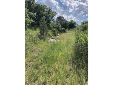 Very Hard to Find acreage with NO HOA or Covenants.  This on Hollydot Golf Course in Colorado - for sale on GolfHomes.com, golf home, golf lot