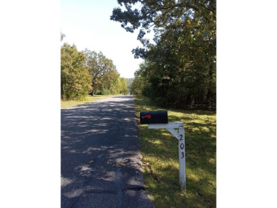 CROWN LAKE and Fisherman's Park is within walking distance from on The Course At Turkey Mountain in Arkansas - for sale on GolfHomes.com, golf home, golf lot