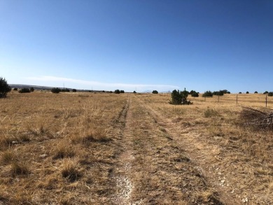 Very Hard to Find acreage with NO HOA or Covenants.  This on Hollydot Golf Course in Colorado - for sale on GolfHomes.com, golf home, golf lot