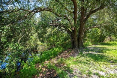 CUSTOM A-FRAME*LAKEFRONT HOME* | 3 Beds | 2 Baths | 1.5-Car on Seminole Lakes Country Club in Florida - for sale on GolfHomes.com, golf home, golf lot