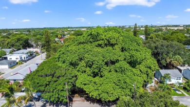 A beautifully treed vacant lot, 135 X 87.50, ready to build and on Lake Worth Municipal Golf Course in Florida - for sale on GolfHomes.com, golf home, golf lot