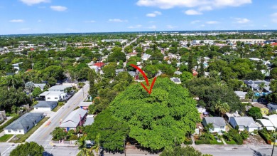 A beautifully treed vacant lot, 135 X 87.50, ready to build and on Lake Worth Municipal Golf Course in Florida - for sale on GolfHomes.com, golf home, golf lot
