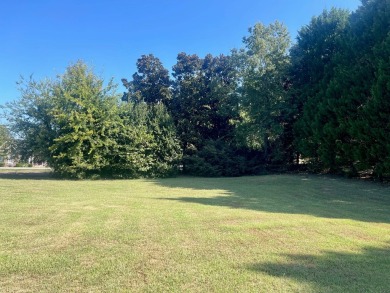 Nestled within the serene, gated golf community of Stoney Point on The Links At Stoney Point in South Carolina - for sale on GolfHomes.com, golf home, golf lot