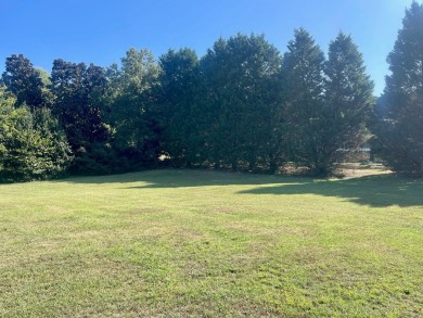 Nestled within the serene, gated golf community of Stoney Point on The Links At Stoney Point in South Carolina - for sale on GolfHomes.com, golf home, golf lot