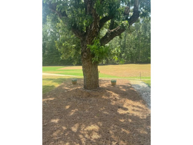 Welcome to this gorgeous executive single-story home made with on The Links At Stoney Point in South Carolina - for sale on GolfHomes.com, golf home, golf lot