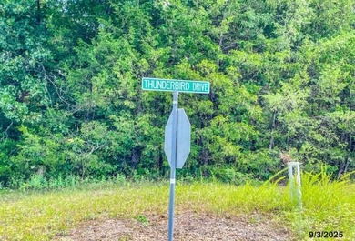 Build your Ozark dream on this beautiful 0.29-acre lot on on Holiday Island Golf Course in Arkansas - for sale on GolfHomes.com, golf home, golf lot