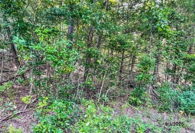 Build your Ozark dream on this beautiful 0.29-acre lot on on Holiday Island Golf Course in Arkansas - for sale on GolfHomes.com, golf home, golf lot