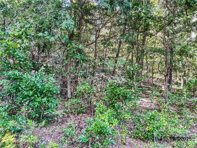 Build your Ozark dream on this beautiful 0.29-acre lot on on Holiday Island Golf Course in Arkansas - for sale on GolfHomes.com, golf home, golf lot