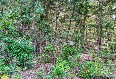 Build your Ozark dream on this beautiful 0.29-acre lot on on Holiday Island Golf Course in Arkansas - for sale on GolfHomes.com, golf home, golf lot