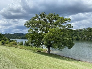 Build your Ozark dream on this beautiful 0.29-acre lot on on Holiday Island Golf Course in Arkansas - for sale on GolfHomes.com, golf home, golf lot