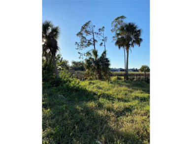 Price DROP!!!Build your dream home on this stunning lot in on Rotonda Golf and Country Club - Long Marsh  in Florida - for sale on GolfHomes.com, golf home, golf lot