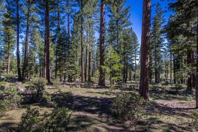 Build the luxury mountain retreat of your dreams on this on Lahontan Golf Club - Lahontan in California - for sale on GolfHomes.com, golf home, golf lot