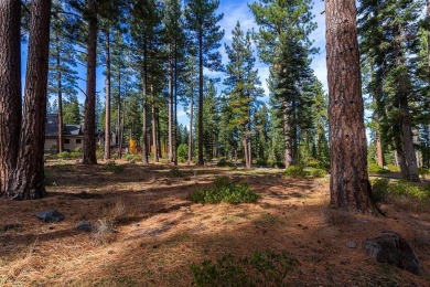 Build the luxury mountain retreat of your dreams on this on Lahontan Golf Club - Lahontan in California - for sale on GolfHomes.com, golf home, golf lot