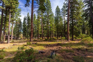 Build the luxury mountain retreat of your dreams on this on Lahontan Golf Club - Lahontan in California - for sale on GolfHomes.com, golf home, golf lot