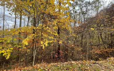 This beautifully wooded lot in the mountains of North Carolina on Chatuge Shores Golf Course in North Carolina - for sale on GolfHomes.com, golf home, golf lot