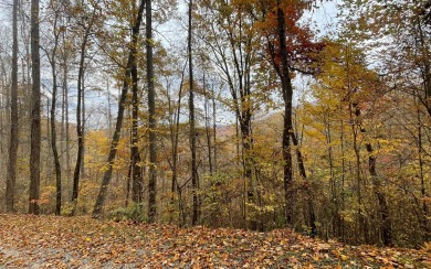 This beautifully wooded lot in the mountains of North Carolina on Chatuge Shores Golf Course in North Carolina - for sale on GolfHomes.com, golf home, golf lot