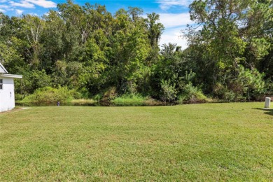 Gated ACTIVE 55+ PET friendly community Paradise Pointe in on Summertree Golf Course in Florida - for sale on GolfHomes.com, golf home, golf lot