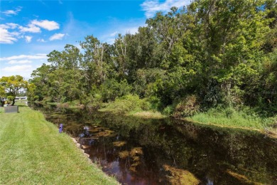 Gated ACTIVE 55+ PET friendly community Paradise Pointe in on Summertree Golf Course in Florida - for sale on GolfHomes.com, golf home, golf lot