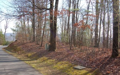 OUTSTANDING VALUE IN THIS GATED GOLF COURSE COMMUNITY! Whether on Mountain Harbour Golf Club in North Carolina - for sale on GolfHomes.com, golf home, golf lot