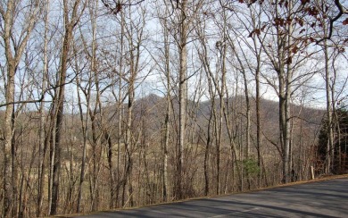 OUTSTANDING VALUE IN THIS GATED GOLF COURSE COMMUNITY! Whether on Mountain Harbour Golf Club in North Carolina - for sale on GolfHomes.com, golf home, golf lot