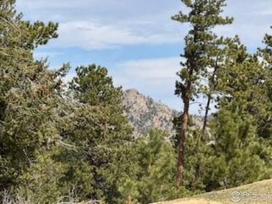 Lot 70, Prime building lot Overlooking the 16th Green, with on Fox Acres Country Club in Colorado - for sale on GolfHomes.com, golf home, golf lot