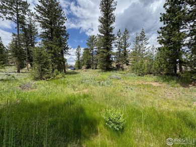 Lot 70, Prime building lot Overlooking the 16th Green, with on Fox Acres Country Club in Colorado - for sale on GolfHomes.com, golf home, golf lot