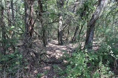 Two golf course lots located at the tee box of Hole 3 on the New on White Bluff Resort - New Course in Texas - for sale on GolfHomes.com, golf home, golf lot