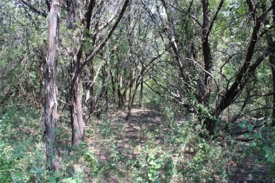 Two golf course lots located at the tee box of Hole 3 on the New on White Bluff Resort - New Course in Texas - for sale on GolfHomes.com, golf home, golf lot