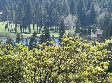 Moderately sloped vacant land in Lake Arrowhead Woods. This lot on Lake Arrowhead Country Club in California - for sale on GolfHomes.com, golf home, golf lot