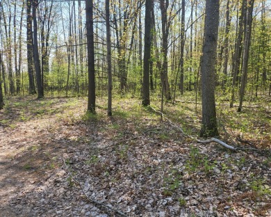 Wooded lot situated on the 4th fairway of  Ye Olde Country Club on Ye Olde Country Club in Michigan - for sale on GolfHomes.com, golf home, golf lot