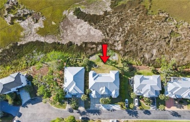 Awaken each morning to the stunning spectacle of a breathtaking on Sea Palms Golf and Tennis Resort in Georgia - for sale on GolfHomes.com, golf home, golf lot