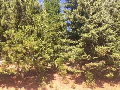 Ideal Lake Almanor Country Club lot with 125' of frontage. A on Lake Almanor Country Club in California - for sale on GolfHomes.com, golf home, golf lot