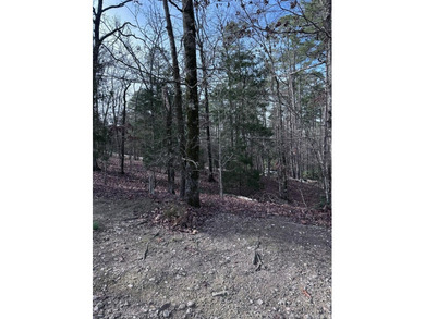 first time buy in fee of $2,000 owed by buyer at closing.  Buyer on Ponce De Leon Golf Course in Arkansas - for sale on GolfHomes.com, golf home, golf lot