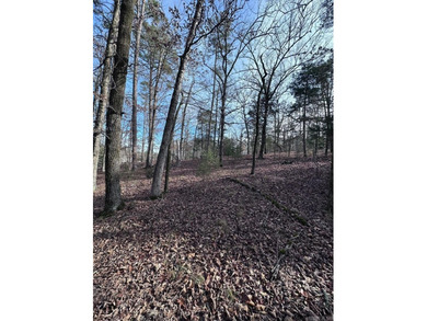 first time buy in fee of $2,000 owed by buyer at closing.  Buyer on Ponce De Leon Golf Course in Arkansas - for sale on GolfHomes.com, golf home, golf lot