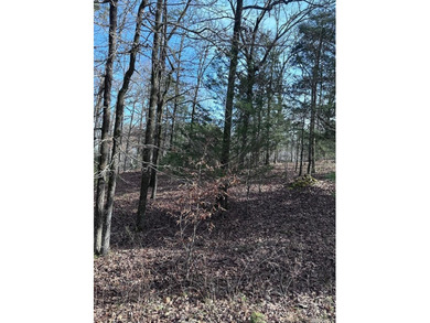 first time buy in fee of $2,000 owed by buyer at closing.  Buyer on Ponce De Leon Golf Course in Arkansas - for sale on GolfHomes.com, golf home, golf lot