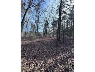 first time buy in fee of $2,000 owed by buyer at closing.  Buyer on Ponce De Leon Golf Course in Arkansas - for sale on GolfHomes.com, golf home, golf lot