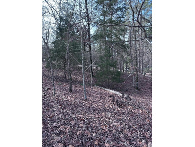 first time buy in fee of $2,000 owed by buyer at closing.  Buyer on Ponce De Leon Golf Course in Arkansas - for sale on GolfHomes.com, golf home, golf lot