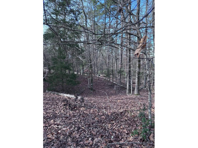 first time buy in fee of $2,000 owed by buyer at closing.  Buyer on Ponce De Leon Golf Course in Arkansas - for sale on GolfHomes.com, golf home, golf lot