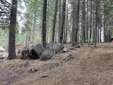 Looking to build that quaint mountain retreat at beautiful Lake on Lake Almanor West Golf Course in California - for sale on GolfHomes.com, golf home, golf lot