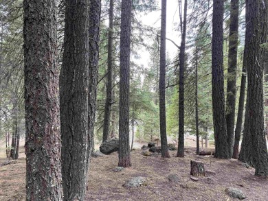 Looking to build that quaint mountain retreat at beautiful Lake on Lake Almanor West Golf Course in California - for sale on GolfHomes.com, golf home, golf lot