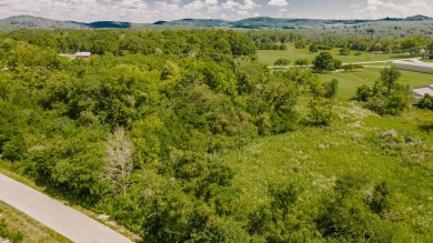 Nestled in one of the most sought-after gated subdivisions, this on Woodson Bend Resort in Kentucky - for sale on GolfHomes.com, golf home, golf lot