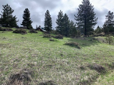 This lot is the perfect get-away for any family or retiree on Grizzly Ranch Golf Club in California - for sale on GolfHomes.com, golf home, golf lot