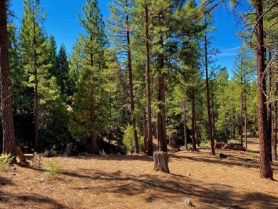 Fantastic forest sanctuary! This beautiful parcel is set in the on Nakoma Golf Resort in California - for sale on GolfHomes.com, golf home, golf lot