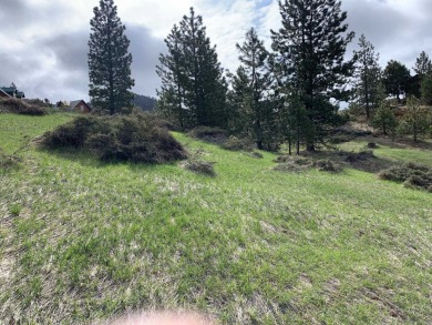 This lot is the perfect get-away for any family or retiree on Grizzly Ranch Golf Club in California - for sale on GolfHomes.com, golf home, golf lot